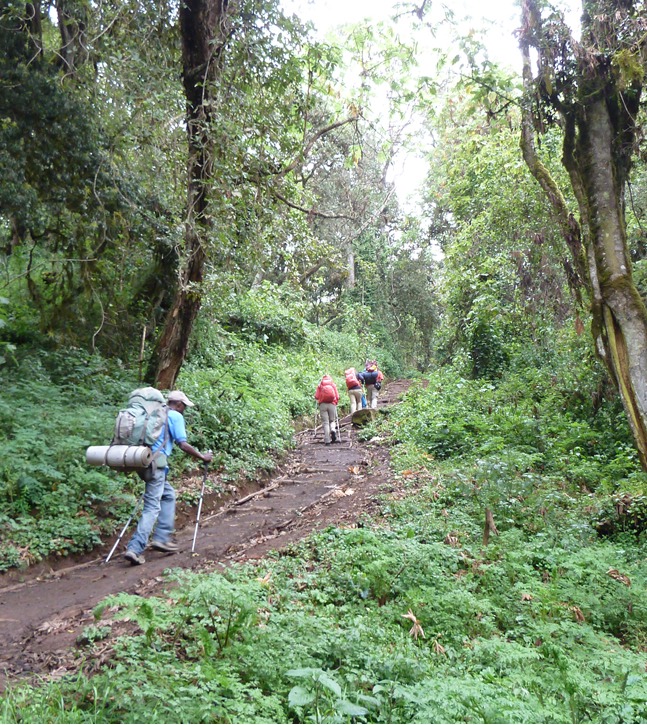 Kilimanjaro Marangu Trekking