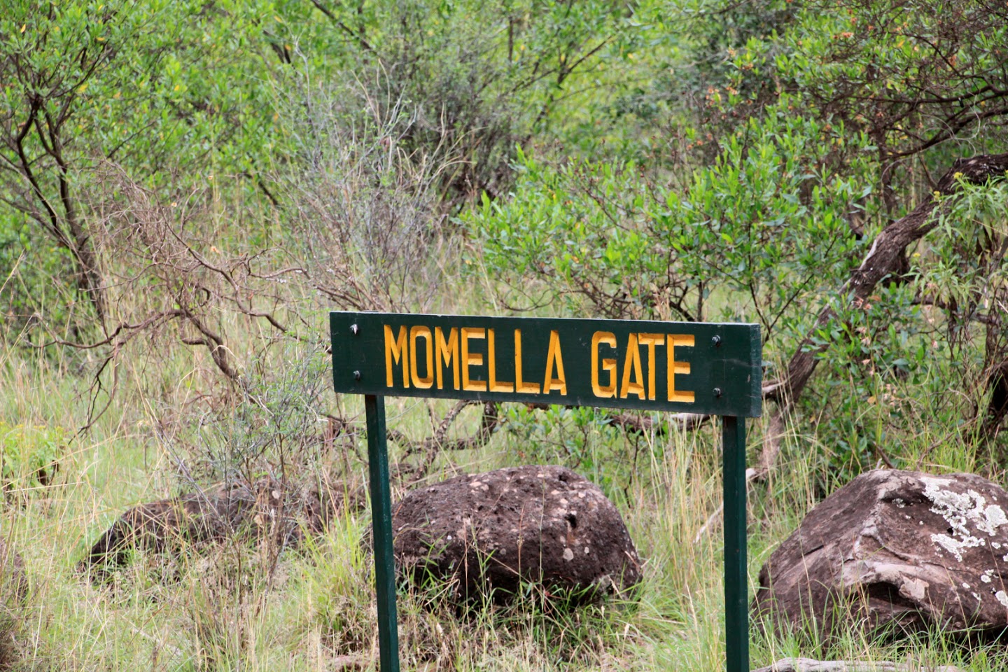 Momella Gate at Mount Meru Trekking | Kilimanjaro Trekking