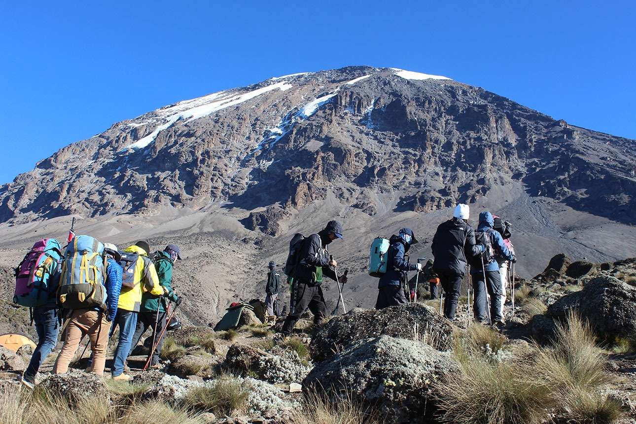 Kilimanjaro Rongai Route Trekking | Travel Tanzania